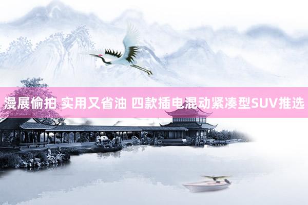 漫展偷拍 实用又省油 四款插电混动紧凑型SUV推选