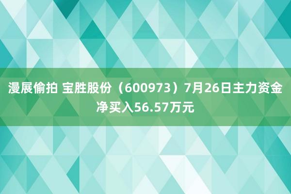 漫展偷拍 宝胜股份（600973）7月26日主力资金净买入56.57万元