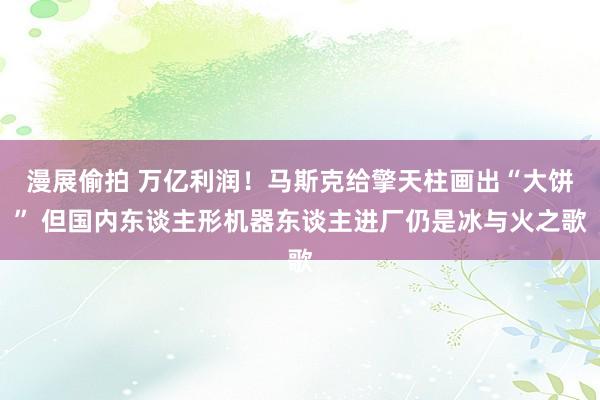 漫展偷拍 万亿利润！马斯克给擎天柱画出“大饼” 但国内东谈主形机器东谈主进厂仍是冰与火之歌