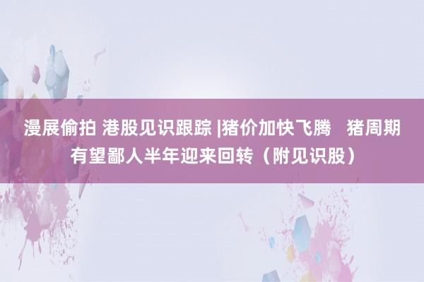 漫展偷拍 港股见识跟踪 |猪价加快飞腾   猪周期有望鄙人半年迎来回转（附见识股）