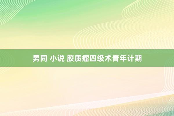 男同 小说 胶质瘤四级术青年计期