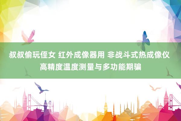 叔叔偷玩侄女 红外成像器用 非战斗式热成像仪 高精度温度测量与多功能期骗