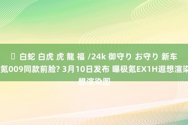 ✨白蛇 白虎 虎 龍 福 /24k 御守り お守り 新车|极氪009同款前脸? 3月10日发布 曝极氪EX1H遐想渲染图
