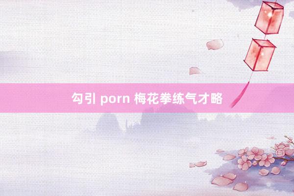 勾引 porn 梅花拳练气才略